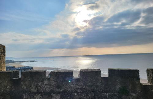 Domaine des Roches - Foto 8