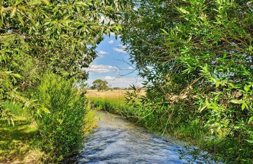 Kayaks and Views Yellowstone River Lodge in Clark - Foto 36