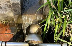 Ferienhaus im Wald, am Briesener See - Foto 13