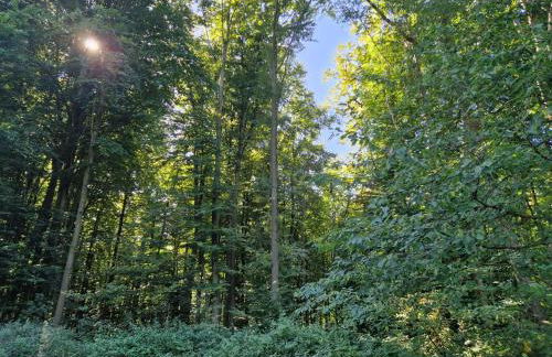 Nanas-Auszeit - Foto 28