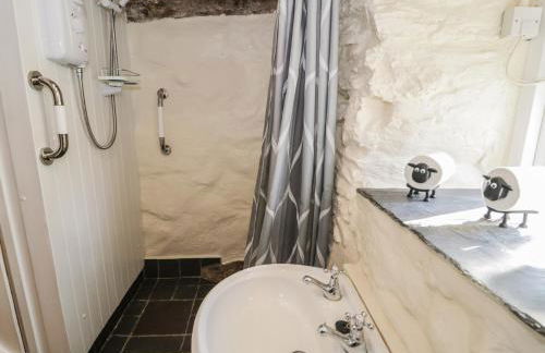 Old Ty'n Y Wern - Foto 21