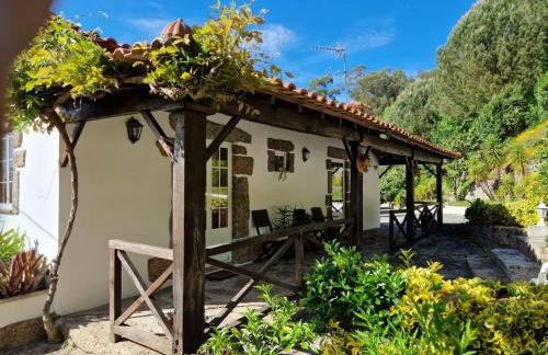 Quinta de S. Vicente 317 - Foto 20