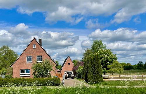 Knut's Nest - Foto 1