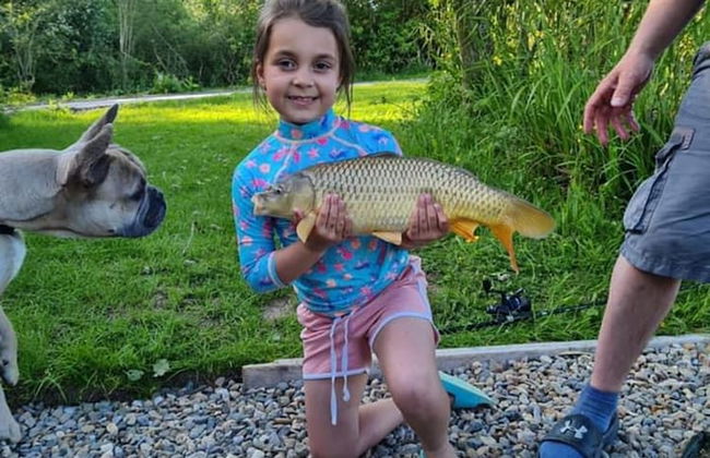 Beech Pod Cabin in Beautiful Surroundings Wrexham - Photo 7
