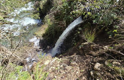 Kanati Falls Ranch - Foto 29