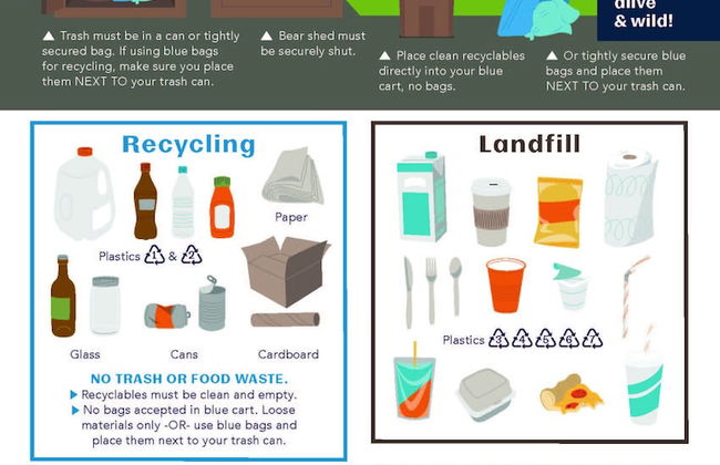 Donner Lake Delight - Foto 18