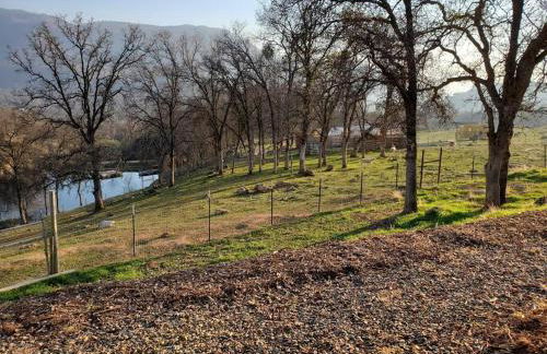 Matanah Meadows Farm, Great for 2 Families, Sequoia National Park and Working Farm - Foto 23