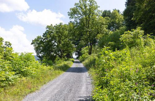 Spectacular Buckleberry View EV Recharge Hot Tub Fireplace Jacuzzi - Foto 31