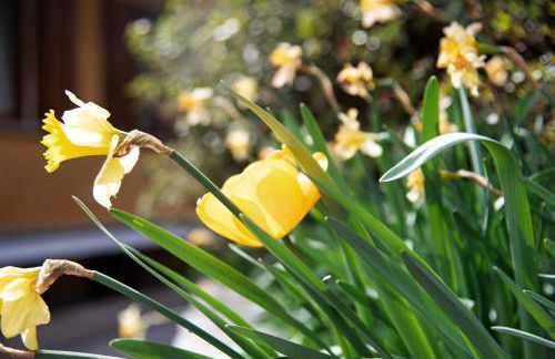 Home Pier - Photo 21