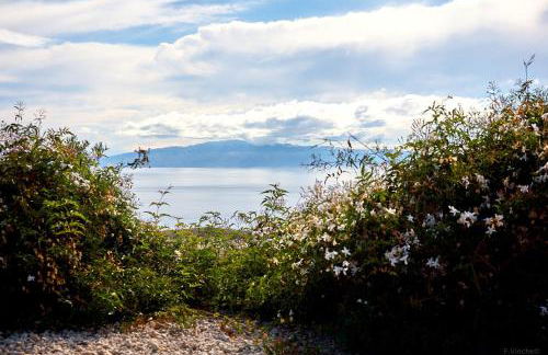 Finca el Vinche - Foto 11