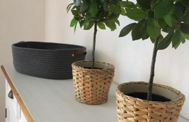 „Südblick“ gemütliche Doppelhaushälfte - Foto 14