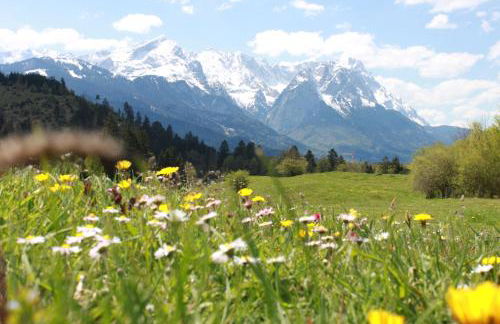 Apartment Zugspitz - Foto 9