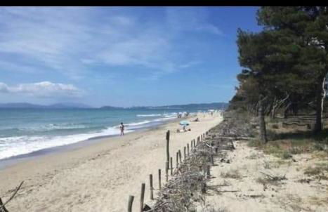 House Pula - Foto 13