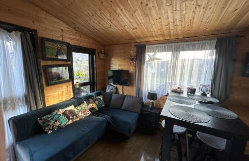 Bieszczadzkie Wzgórze Saunowe- Jacuzzi i Sauna w cenie pobytu - Foto 77