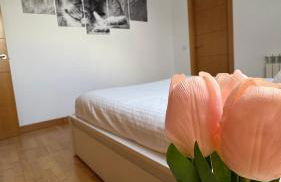 Apartamentos Suites Olmedo - Foto 24