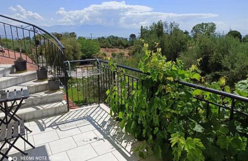 Anastasios Olive Garden Apartments - Foto 10