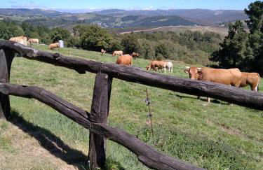 La Posada de Oscos - Foto 43