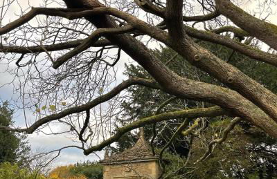 Alexander House - Foto 53