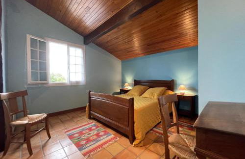 Hiriarteberria - Foto 20