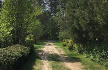 Zacisze Siemiany - Foto 19