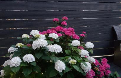 Apartment Luxus "Akzente-Art Minden" - Foto 41