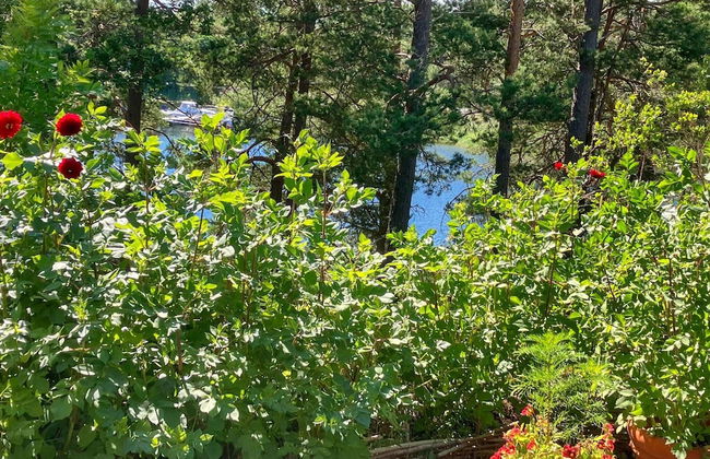 6 Person Holiday Home in Djurhamn-by Traum - Photo 34