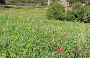 Pieve di Cà Maggiore - Photo 18
