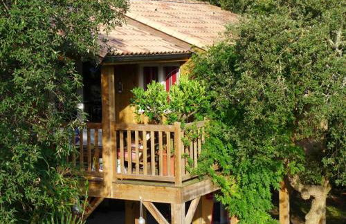 Les chats perchés 400m plage D - Foto 24