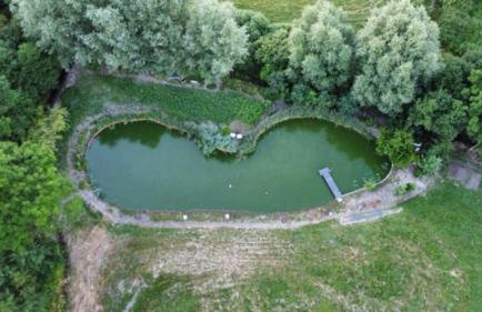 Pond Cabin - Foto 24