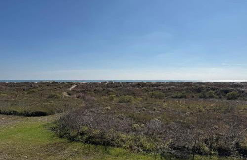 Paloma Beach House - Foto 27