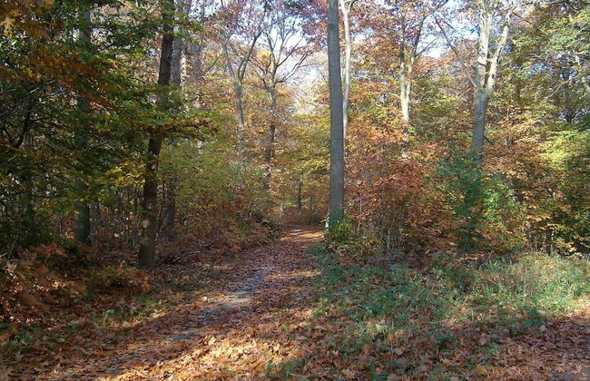 Quiet Glade Stay With Kid - Foto 27