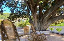 Magnolia Loft A spacious, authentic space with rustic charm - Foto 21