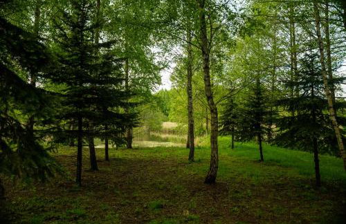 Stacja Natura - Foto 5