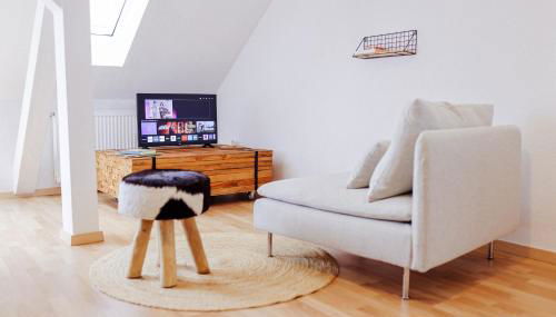 Große City-Wohnung, salt apartments Weissenfels - Foto 3