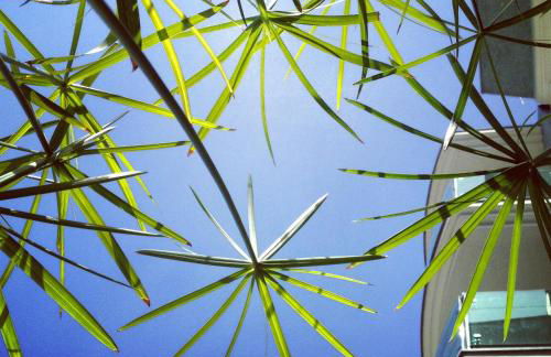 Residenza Villa Flores - Foto 17