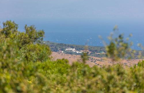 Casa Pájaro del Músico, Bolonia - Foto 68