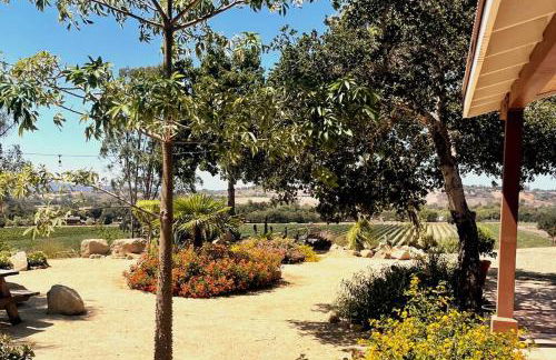 Hilltop Vineyard and Agave Field with View - Photo 1