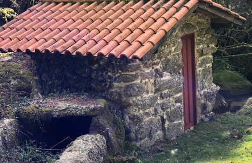 Casa da Fonte, Monte - Foto 37