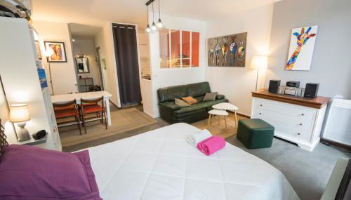 Studio Tarbes Marcadieu - Photo 4