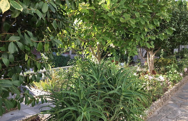 Dom Ruas Apartment - Foto 33