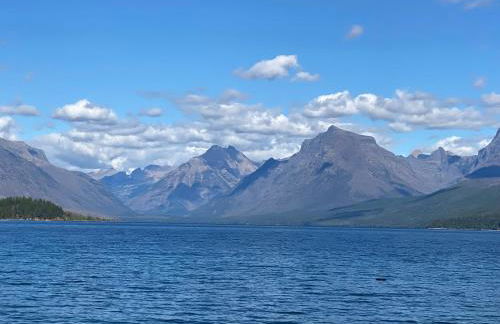 Reclusive Moose Cabins - Photo 11