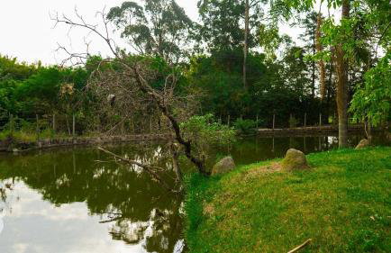 Chalé europeu com vista para natureza no interior - Foto 31
