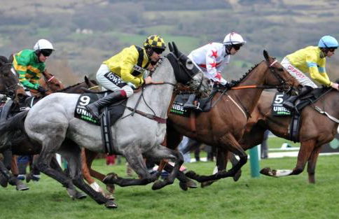 Merriman Cottage - Photo 48