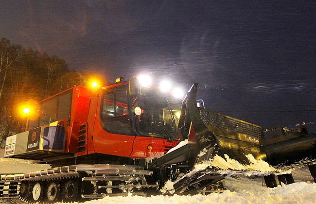 Naeba Prince Hotel - Photo 9