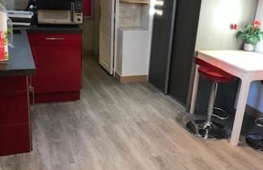 Studio Moovy Proche Stade Groupama, LCLD ARENA , Eurexpo Lyon - Foto 1