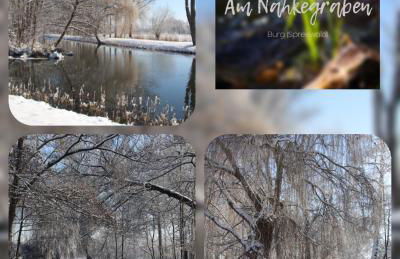 Ferienanlage Am Nahkegraben - Foto 42