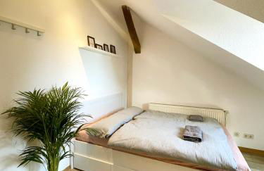 P6 - Familienwohnung am Park und Saale - Foto 42