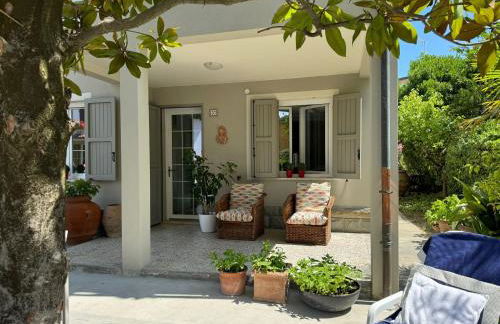 Pesciolino Rosso - Foto 18