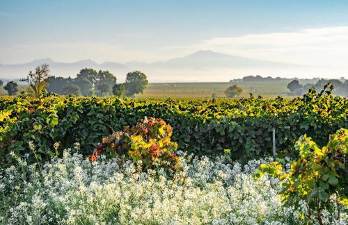 Villa Sérénity 10 pers maxi - Foto 4