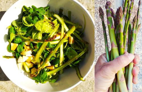 Verde Água Agroturismo e Agricultura Biológica - Foto 26